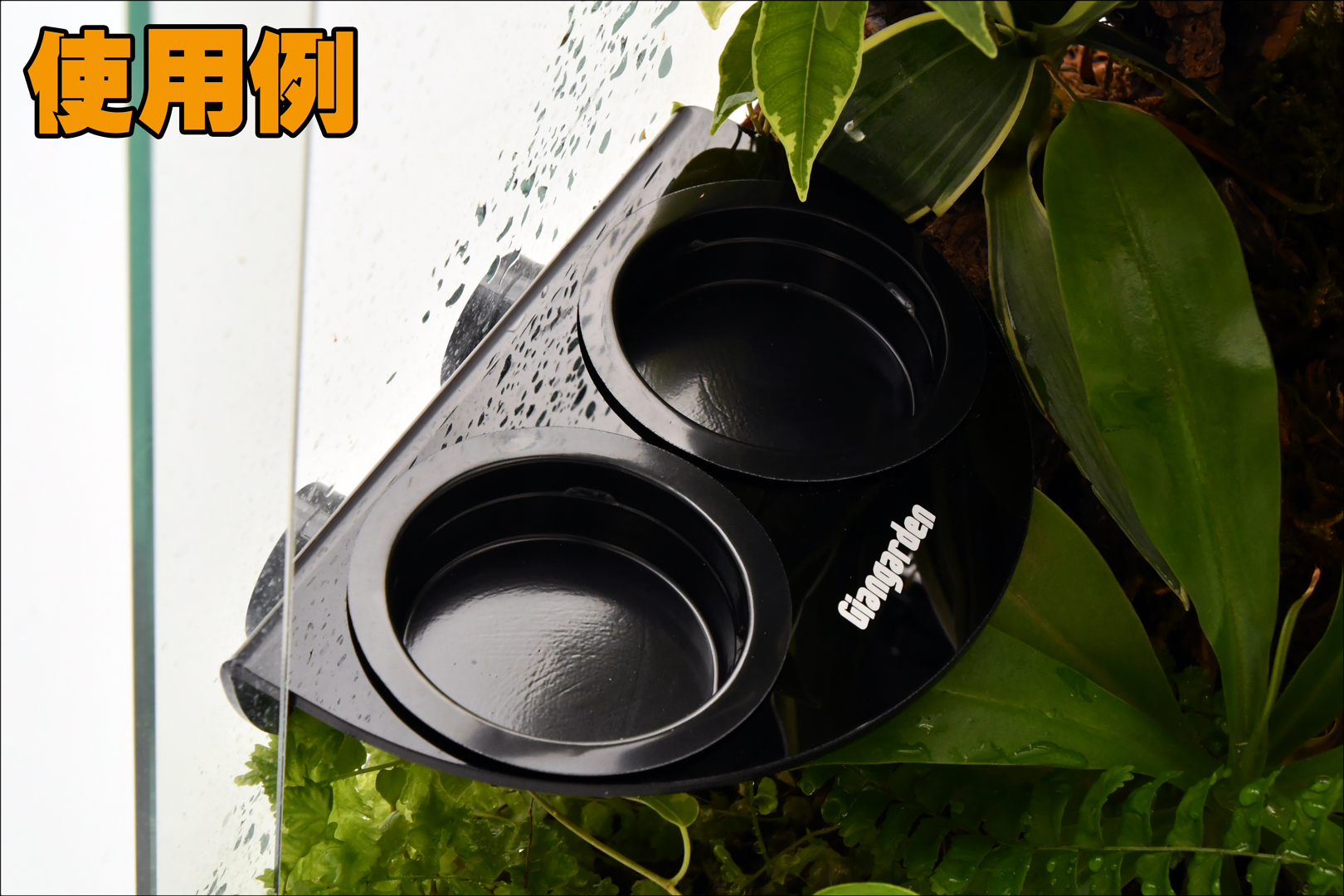 マグネティックレプタイルフィーダー　ジャイアンガーデン　使用例1