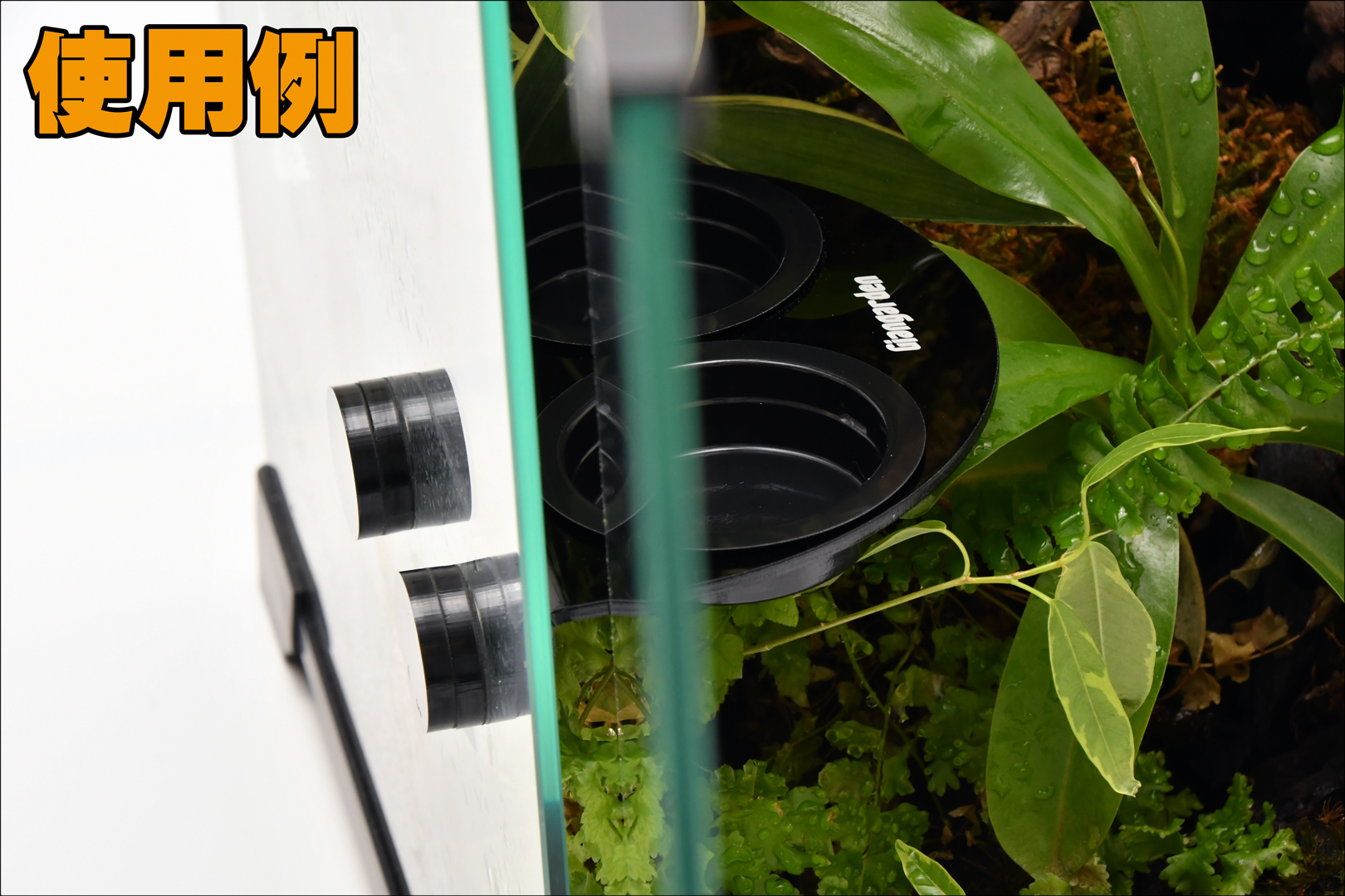 マグネティックレプタイルフィーダー　ジャイアンガーデン　使用例2