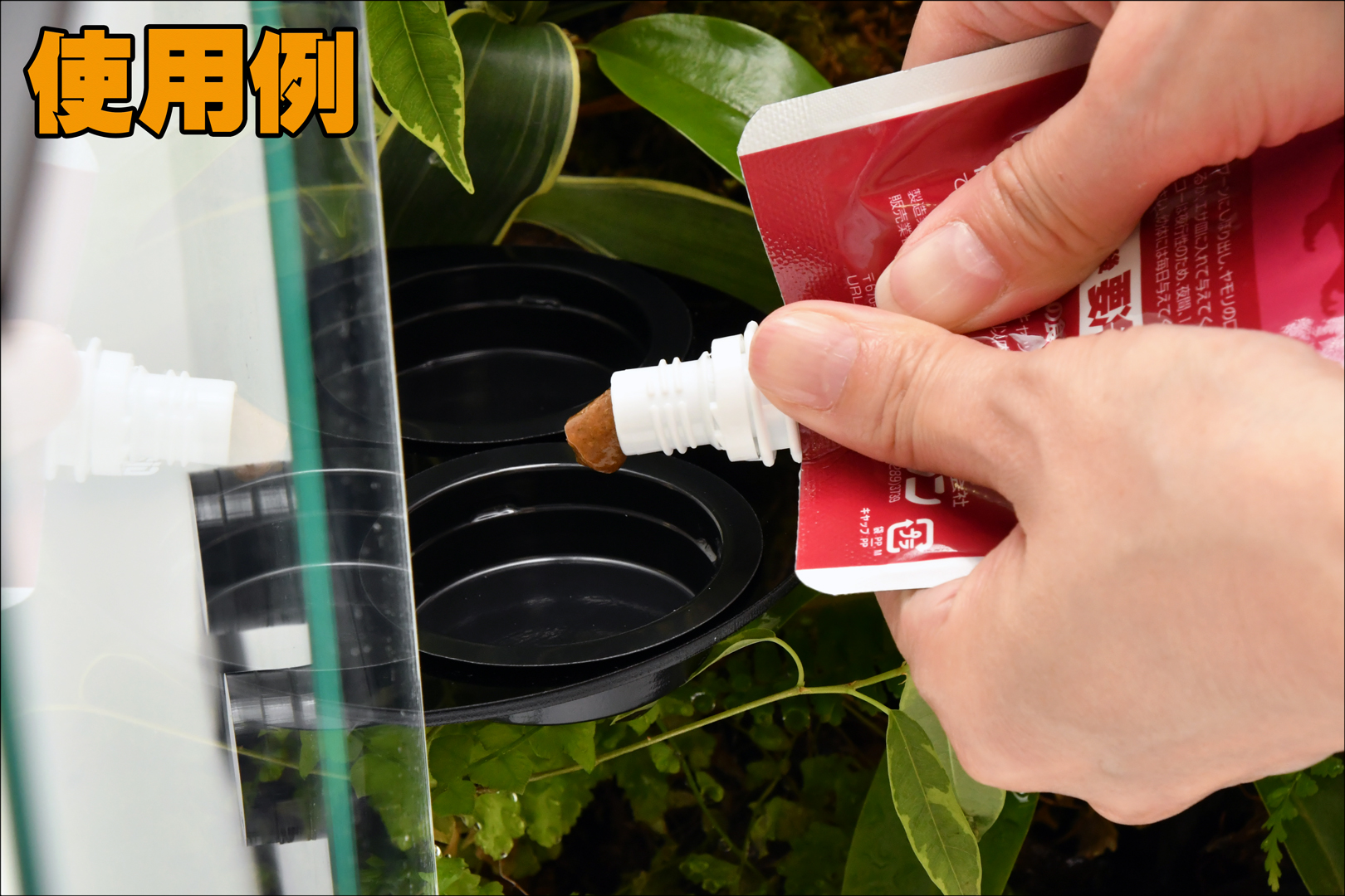 マグネティックレプタイルフィーダー　ジャイアンガーデン　使用例3