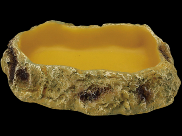 フードディッシュXS