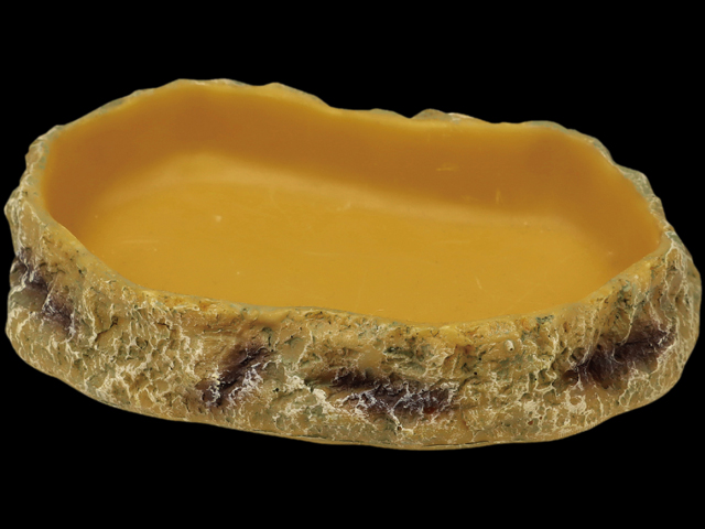 フードディッシュS