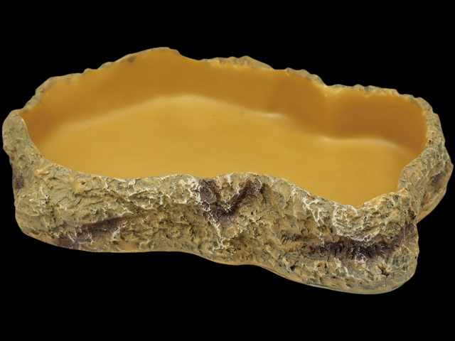 フードディッシュM