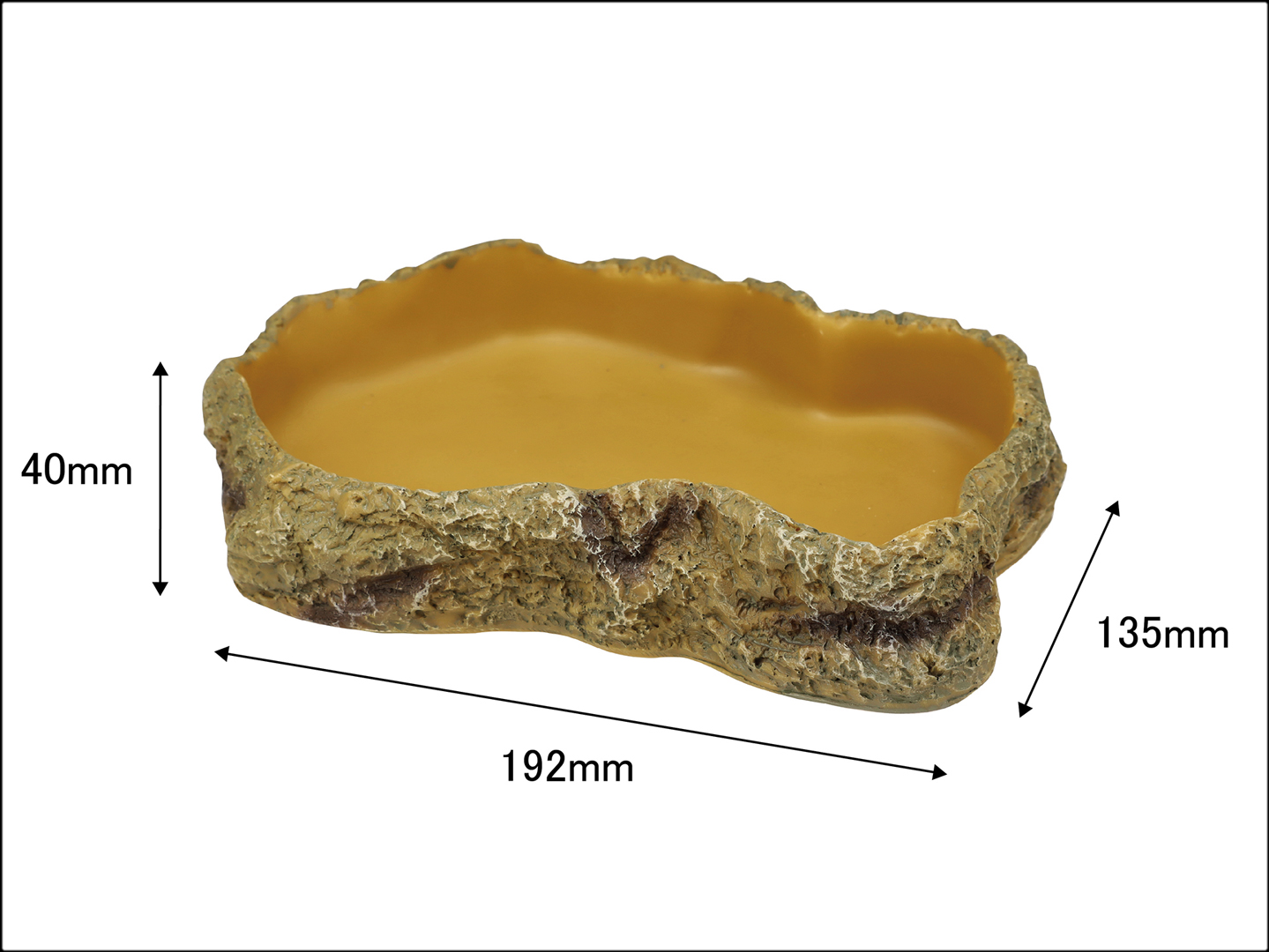 レプティズー フードディッシュM　大きさ