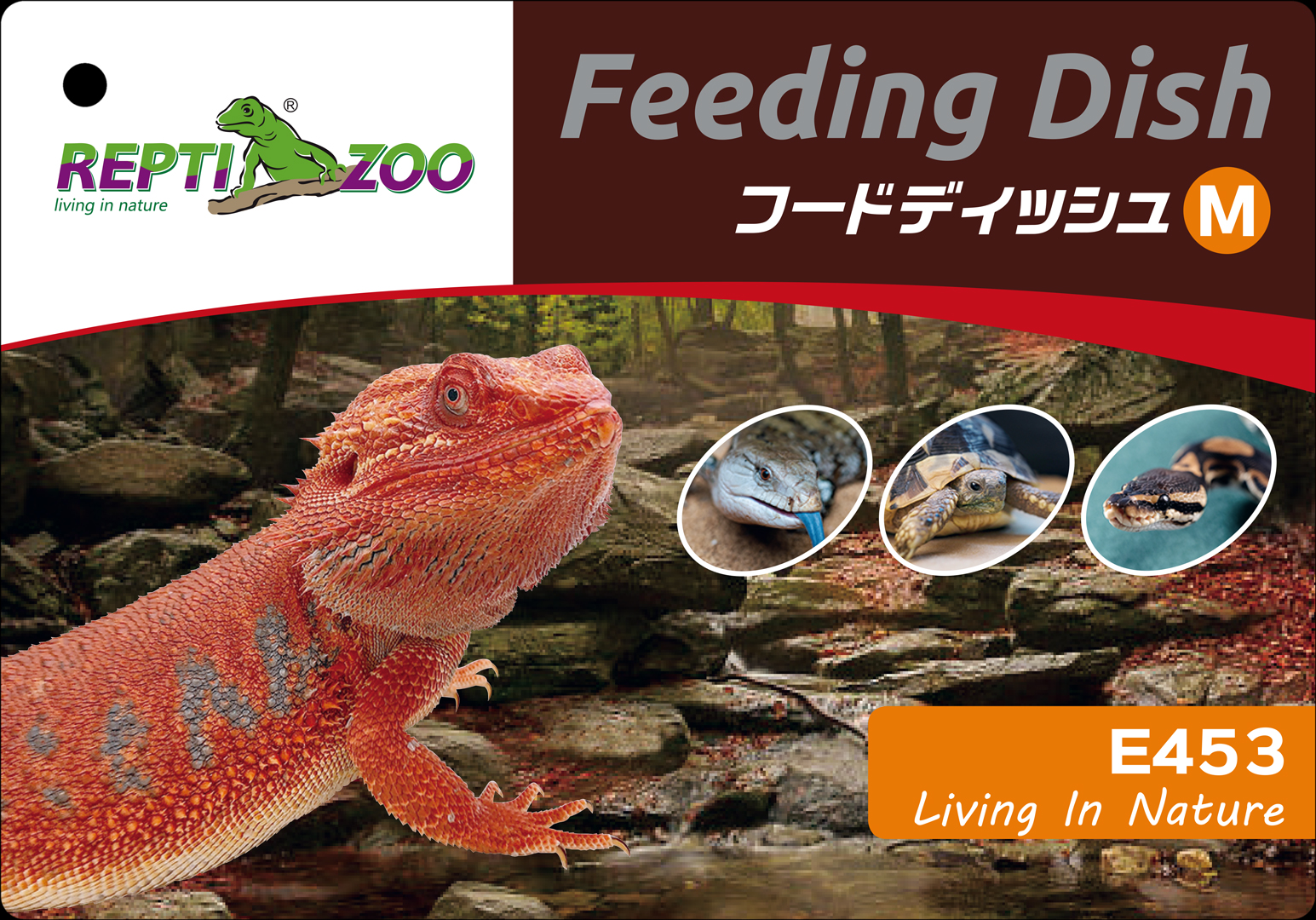 フードディッシュM　レプティズー