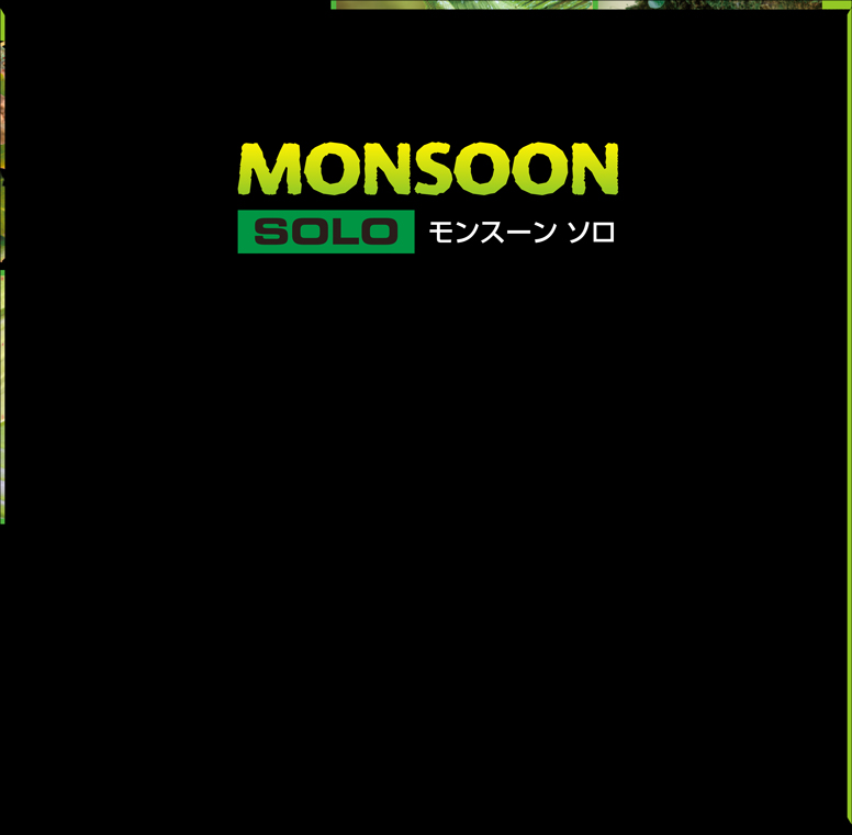 モンスーンソロ パッケージ底面