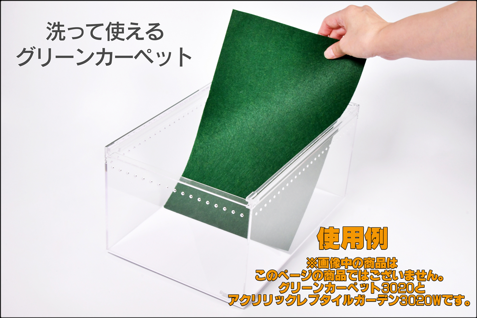 グリーンカーペット　使用例