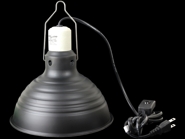 リフレクティングディープドーム　レプティズー