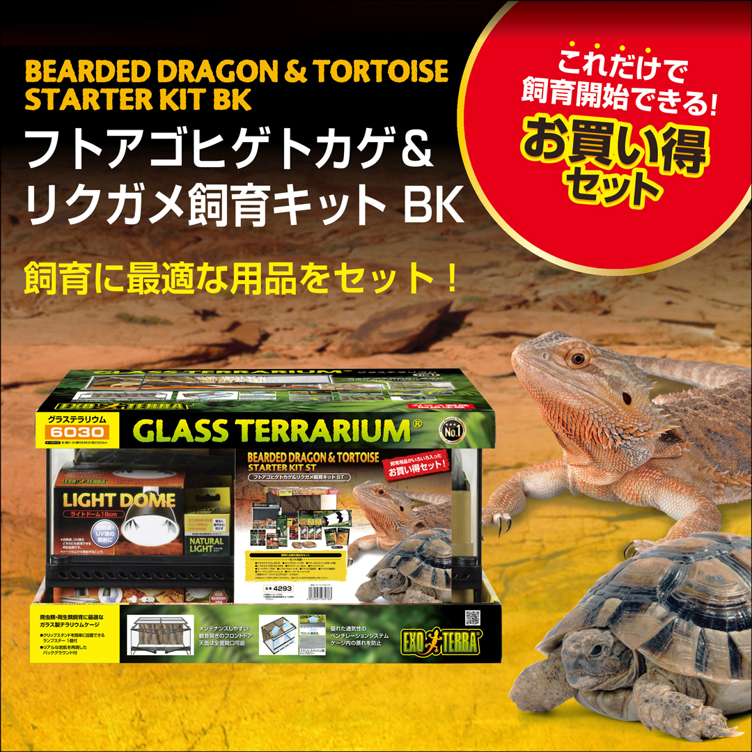 フトアゴヒゲトカゲ＆リクガメ飼育キットBK　パンフレット