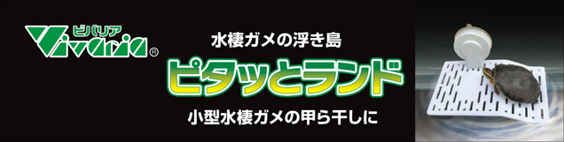 ピタッとランド　パッケージ天面