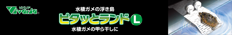 ピタッとランドL　パッケージ天面
