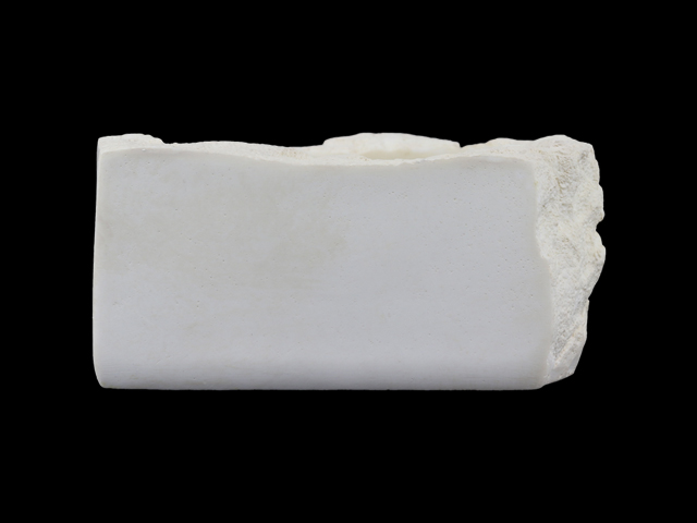 バブルディッシュSホワイト　左面