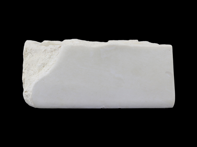 バブルディッシュSホワイト　背面