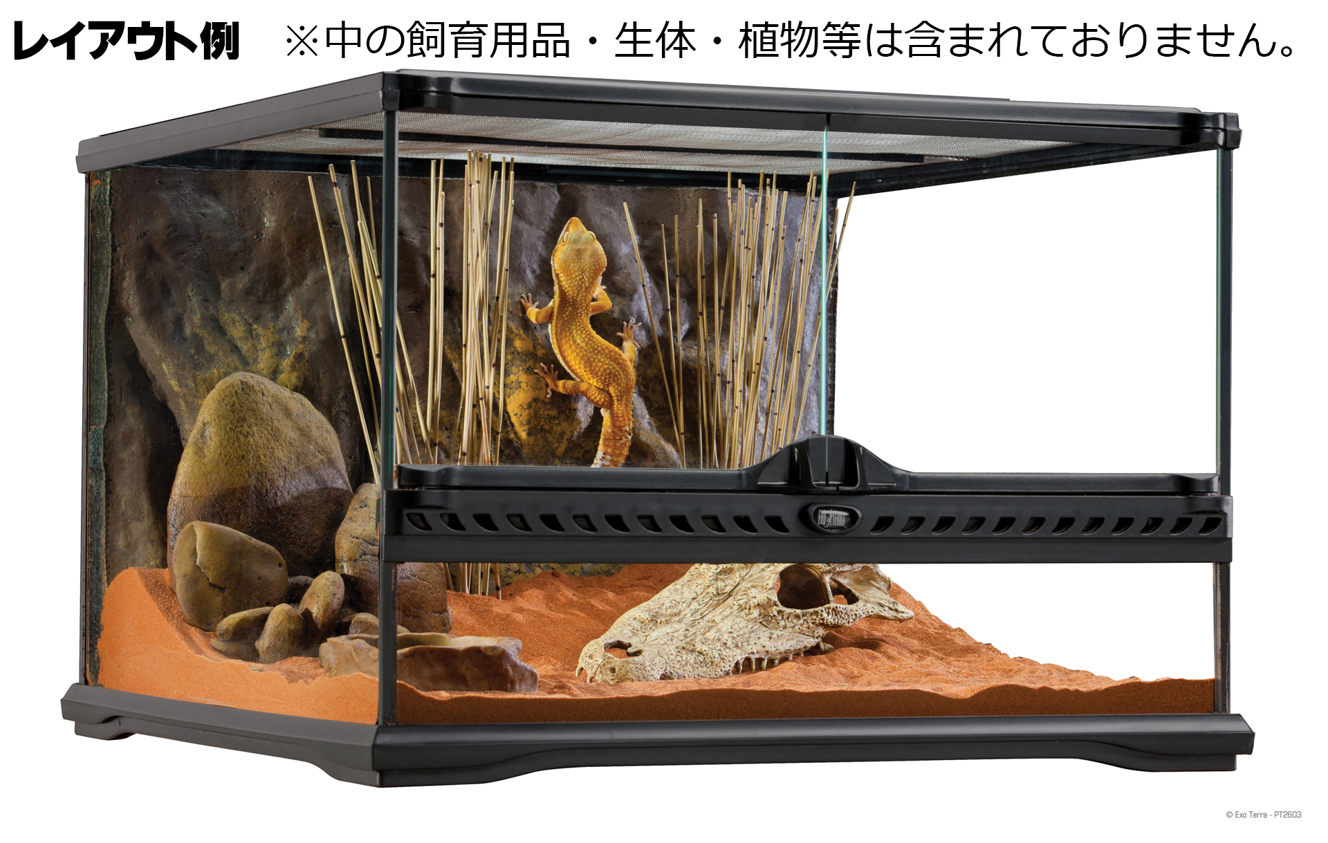 GEX グラステラリウム6030飼育セット - 爬虫類/両生類用品