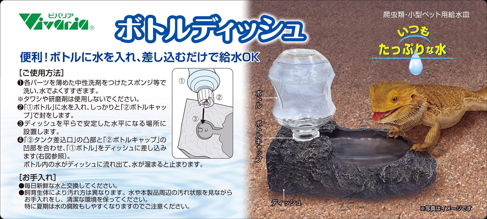 ボトルディッシュ　正面ラベル