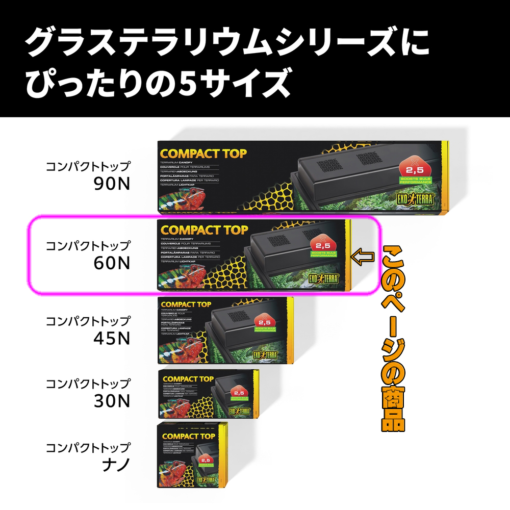 コンパクトトップシリーズ