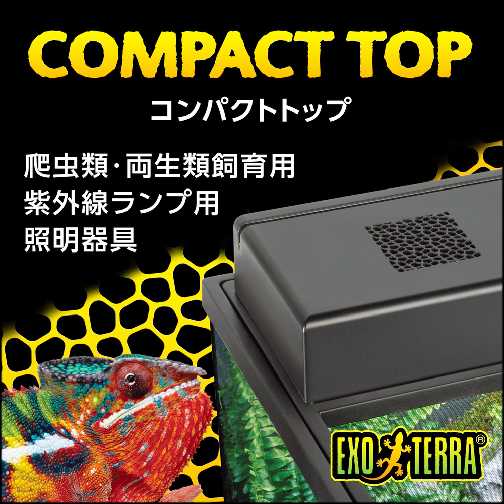 コンパクトトップ