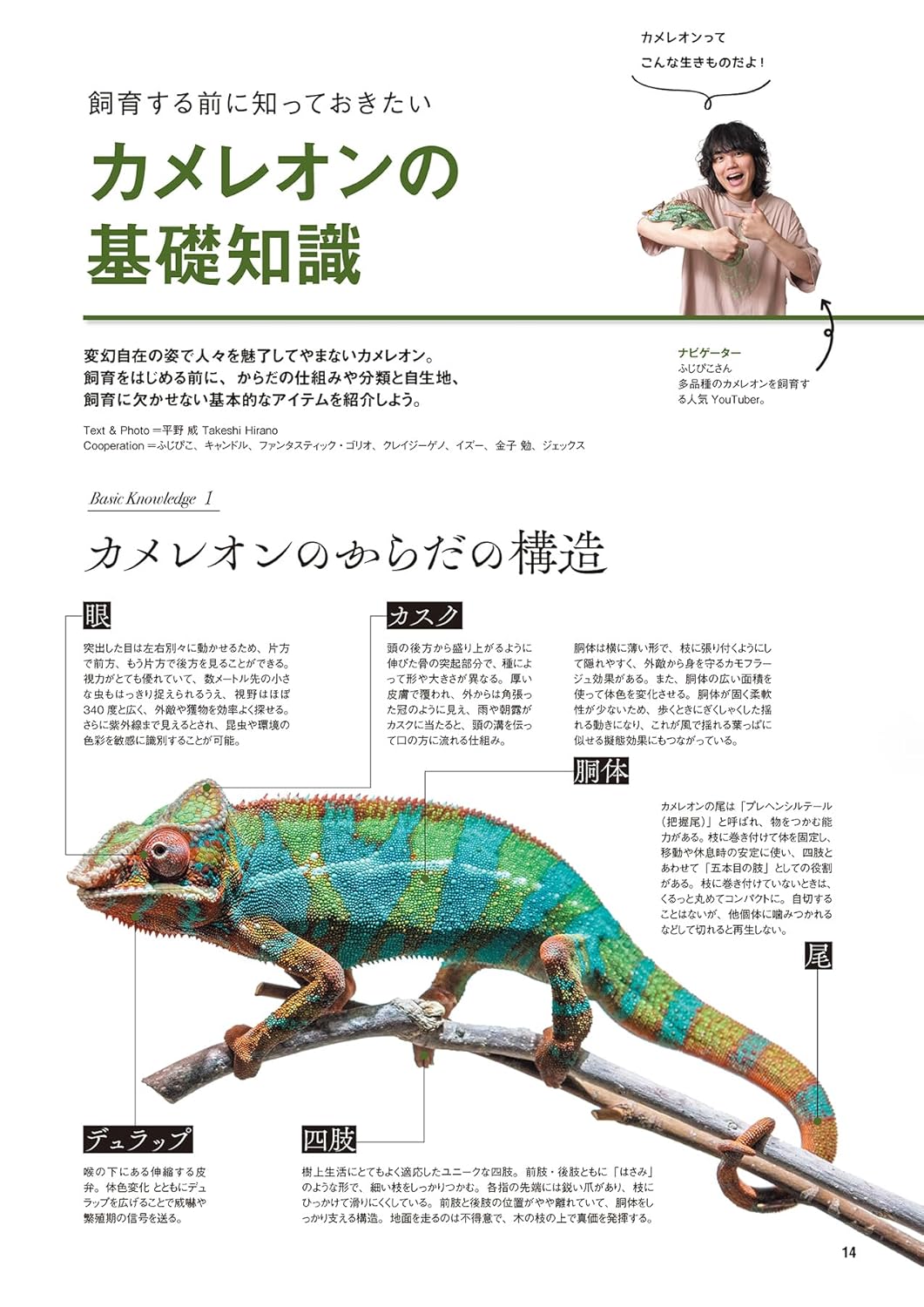 レプファン Vol.27 カメレオンの基礎知識