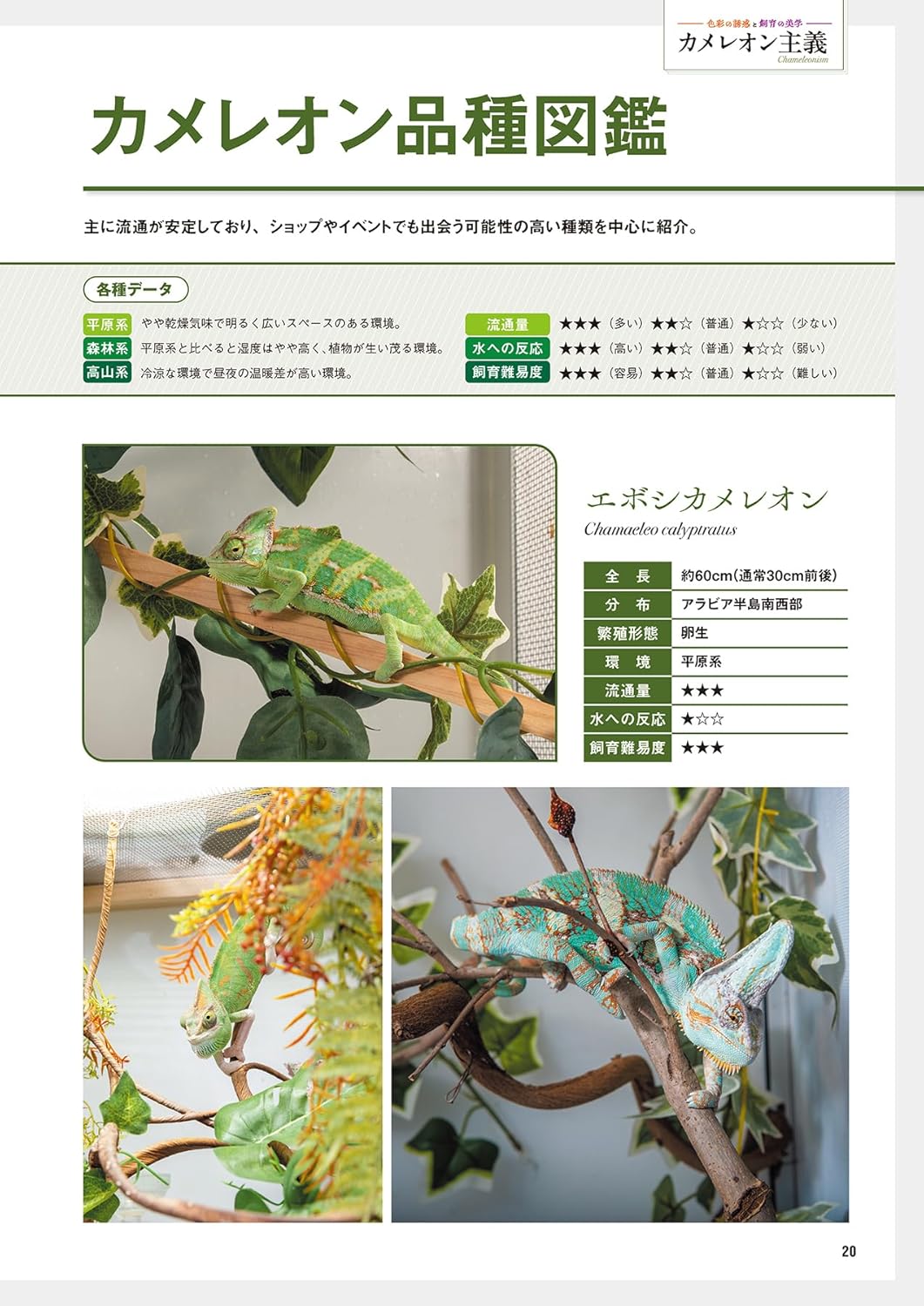 レプファン Vol.27 カメレオン品種図鑑