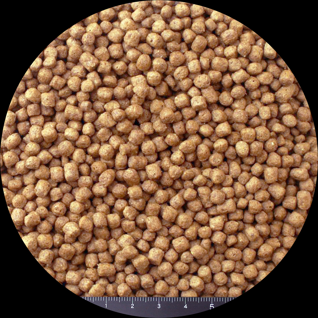 アクアティックタートルフード　粒の大きさ