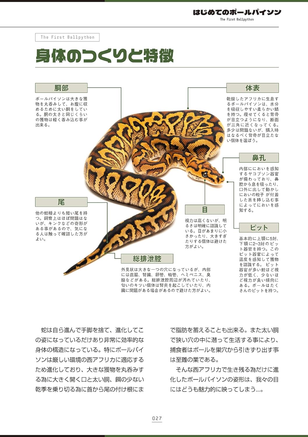 ボールパイソンの教科書2　身体のつくり