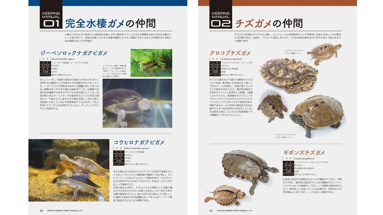 爬虫類飼育完全マニュアル7　完全水棲ガメ