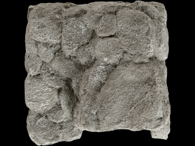 ロックシェルター M 天面