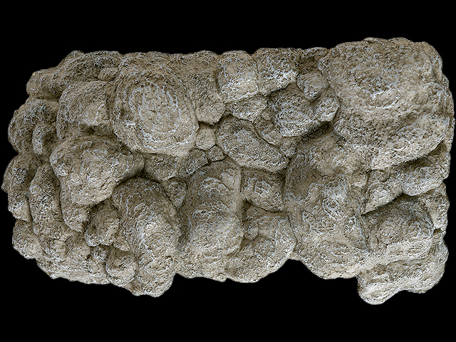 ロックシェルター L 天面