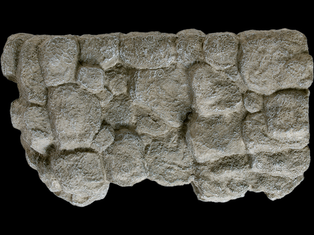 ロックシェルター XL 天面