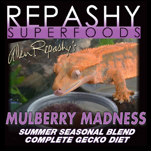 マルベリー　レパシースーパーフード