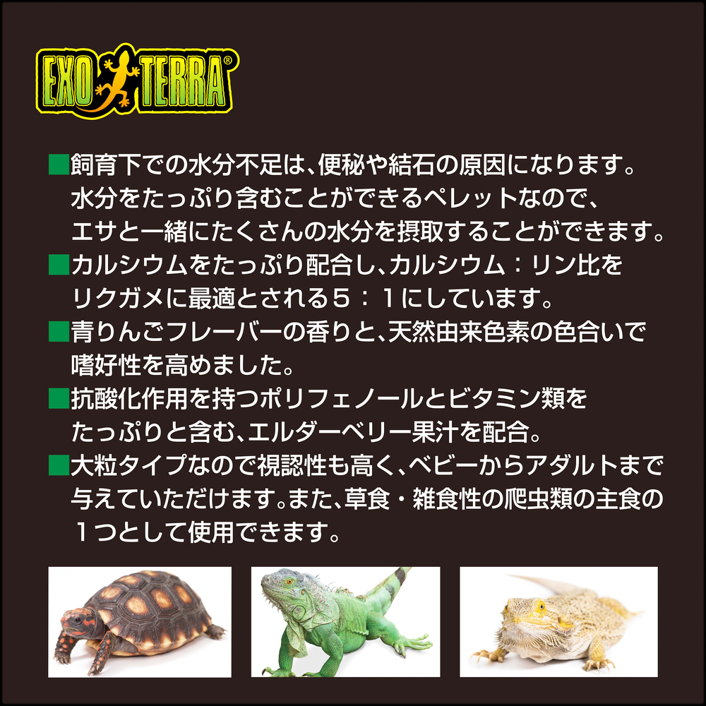 リクガメブレンドフード　EXOTERRA