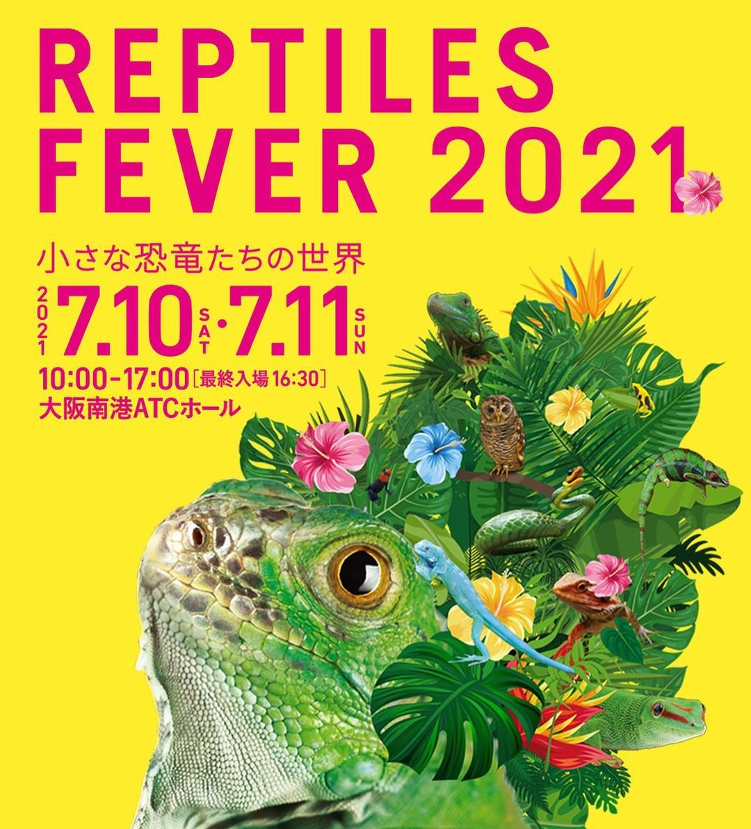 九州爬虫類フェス 九レプ 爬虫類イベントカレンダー
