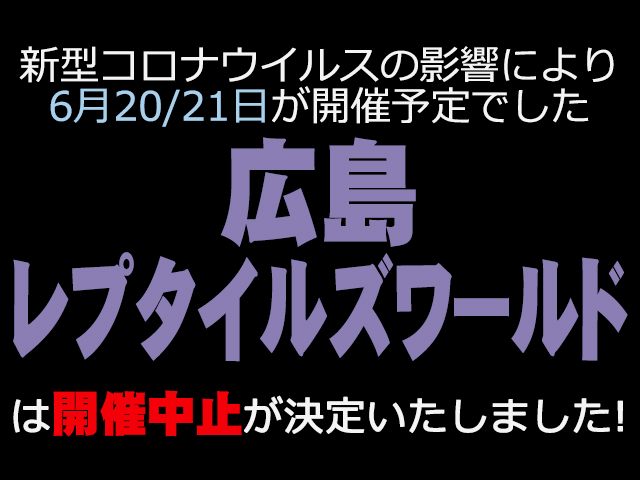 Black Out 名古屋 ブラックアウト 名古屋 爬虫類イベントカレンダー