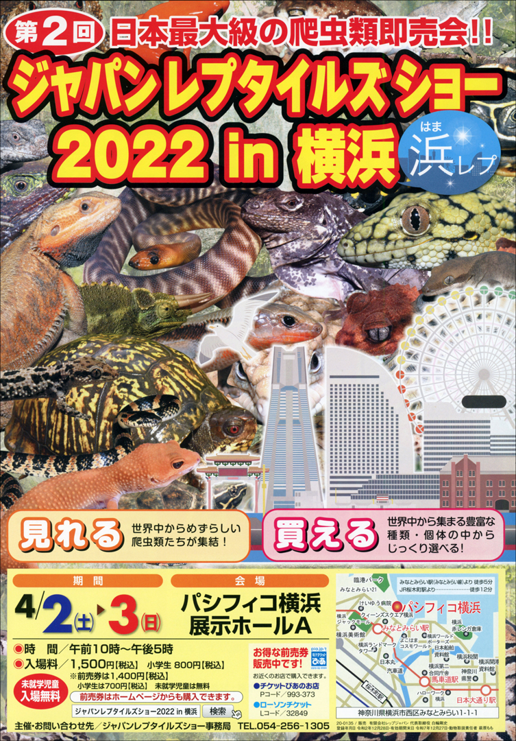 ジャパンレプタイルズショー In 横浜 浜レプ 爬虫類イベント