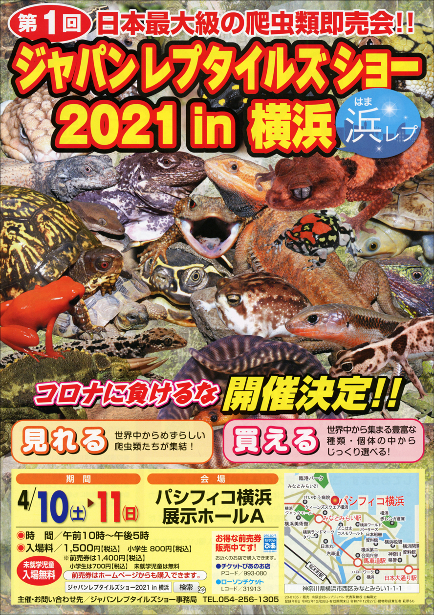 ジャパンレプタイルズショー 浜レプ 爬虫類イベントカレンダー