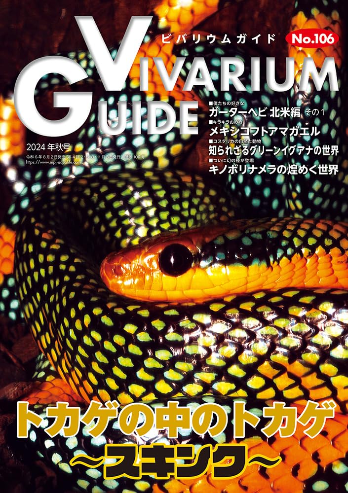 ビバリウムガイドNo.106 2024年秋号　トカゲの中のトカゲ ～スキンク～