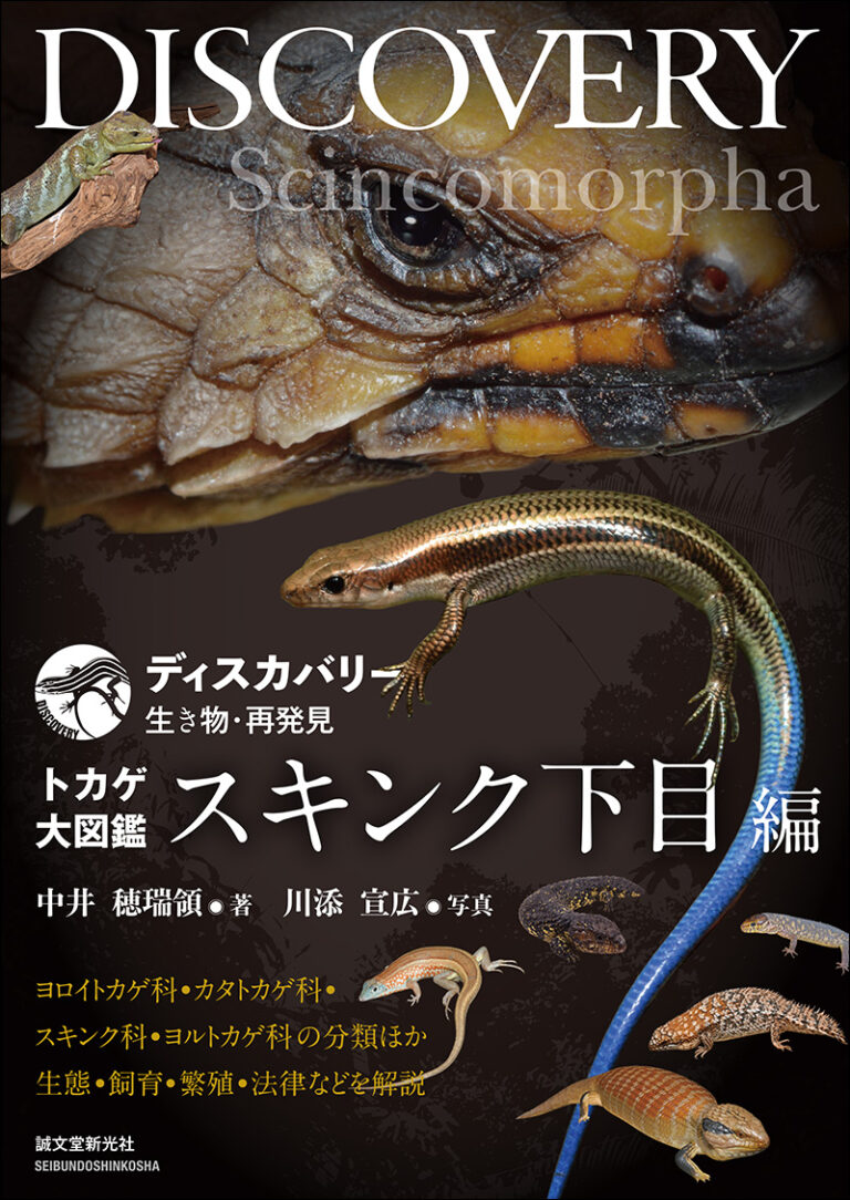 ディスカバリー生き物・再発見 トカゲ大図鑑 スキンク下目編　誠文堂新光社