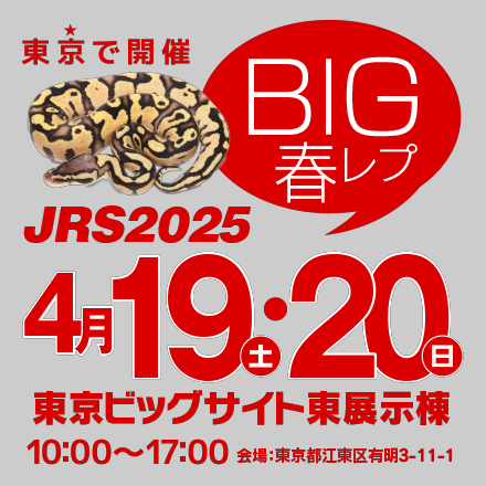 ジャパンレプタイルズショー in 東京 2024春 (BIG春レプ)