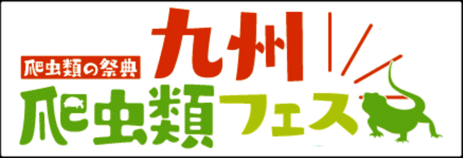 九州爬虫類フェス 九レプ